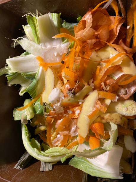 istock Degradable waste in sink 1182518239