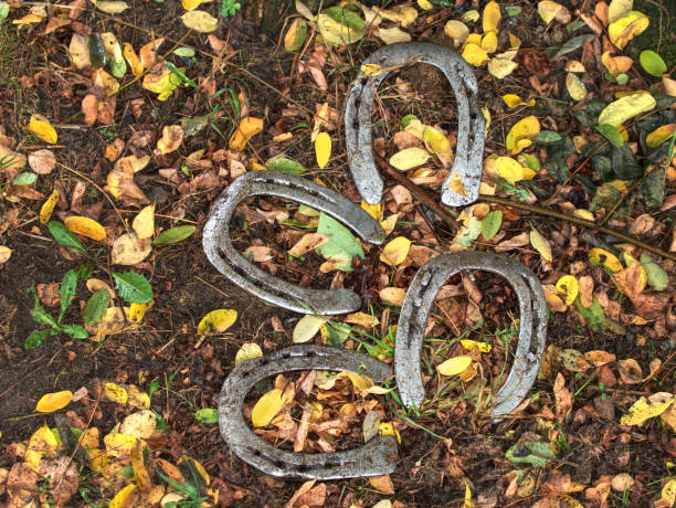 istock Worn out manual hammered horseshoe after change in grass 1182518853