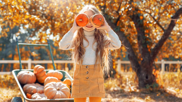 istock Little girl covered face with two small pumpkin 1182519602