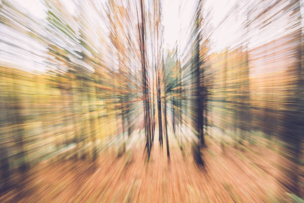 Blurred motion of autumn forest in Slovenia. Nikon D850.