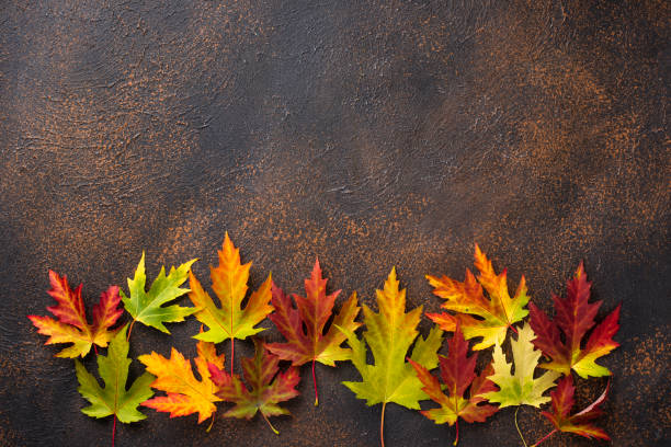 istock Autumn background with maple leaves 1182520379