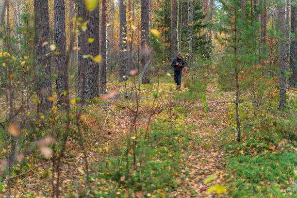 istock Senior man walking on a path in a forest 1182520824