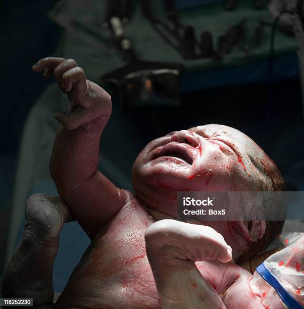 Neugeborenes Stockfoto und mehr Bilder von Neugeborenes - Neugeborenes, Baby, Geburt