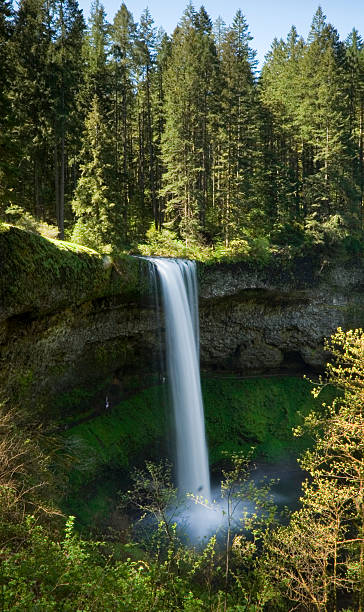 istock Silver Falls State Park, South Waterfalls 118252245