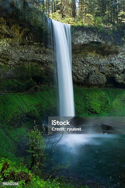 Parco Statale Delle Silver Falls South Cascate - Fotografie stock e altre immagini di Acqua - Acqua, Albero, Albero tropicale