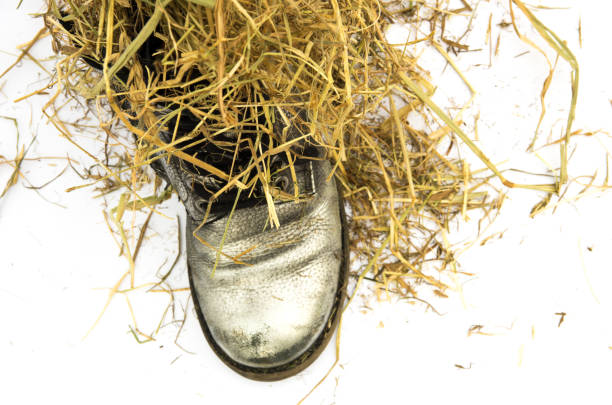 Cowgirl Boot Hay Bale