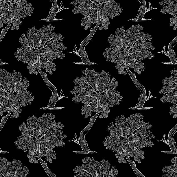 ilustrações, clipart, desenhos animados e ícones de fundo sem emenda de esboços decorativos da árvore de carvalho - nature black and white leaf black background