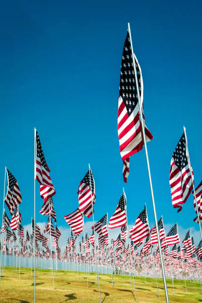 istock Field of US flags 1182524187