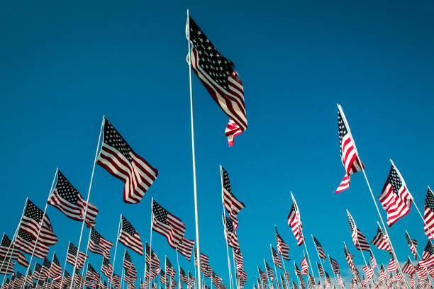 istock Field of US flags 1182524193