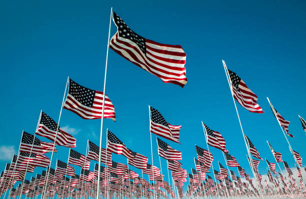 Field of US flags