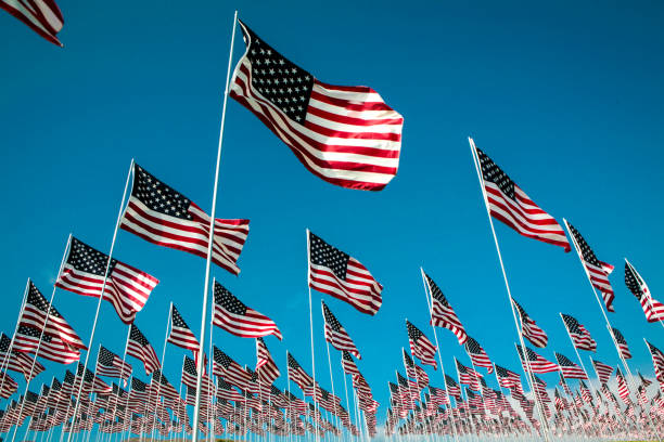 istock Field of US flags 1182524201