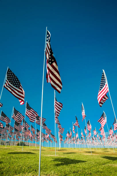 istock Field of US flags 1182524203