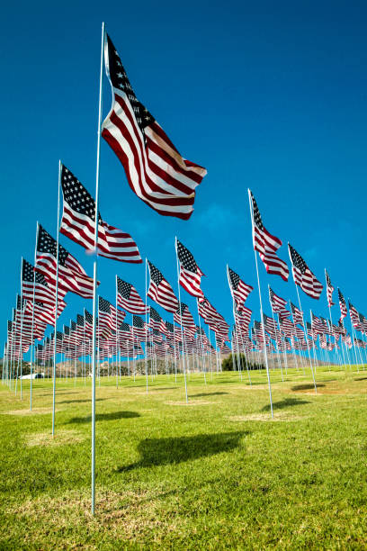 istock Field of US flags 1182524205