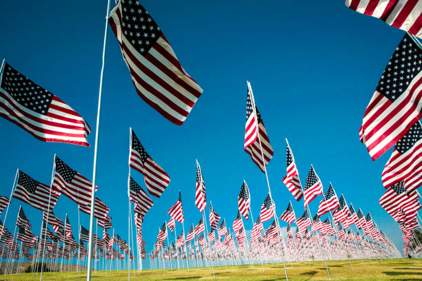 istock Field of US flags 1182524209