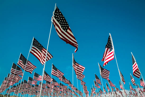 istock Field of US flags 1182524212
