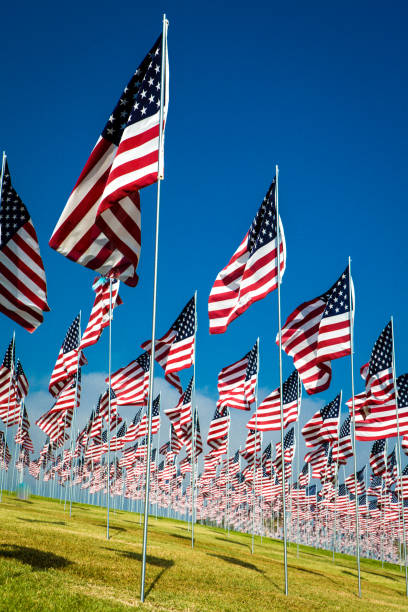 istock Field of US flags 1182524219