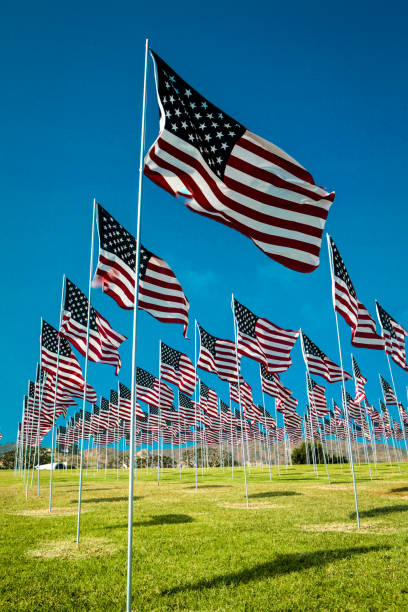 istock Field of US flags 1182524222