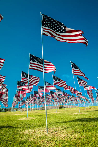 istock Field of US flags 1182524227