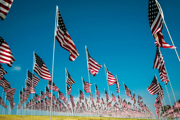istock Field of US flags 1182524230