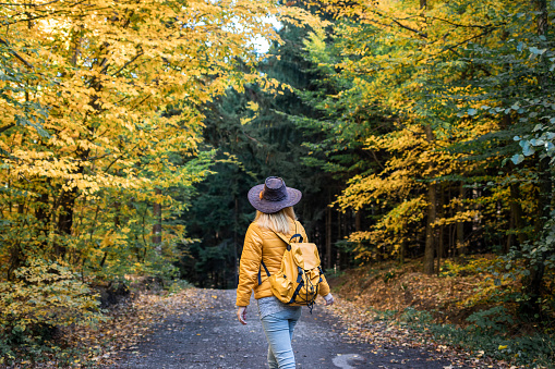 Woman with backpack and hat walking on dirt road in autumn forest.