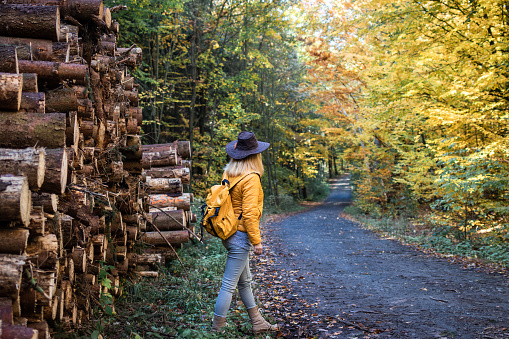 Woman with backpack and hat looking at woodland trail. Female backpacker standing next to tree trunk or logs