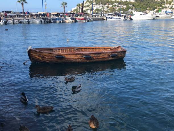 Wooden rowing boat in harbour with ducks stock photo