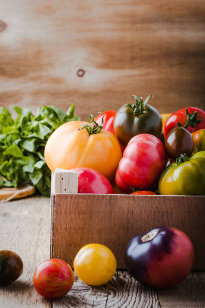 istock Colorful tomatoes, fresh autumn vegetables 1182528992