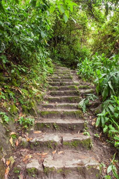 istock Machu Picchu, pathway to peruvian incan town 1182531598