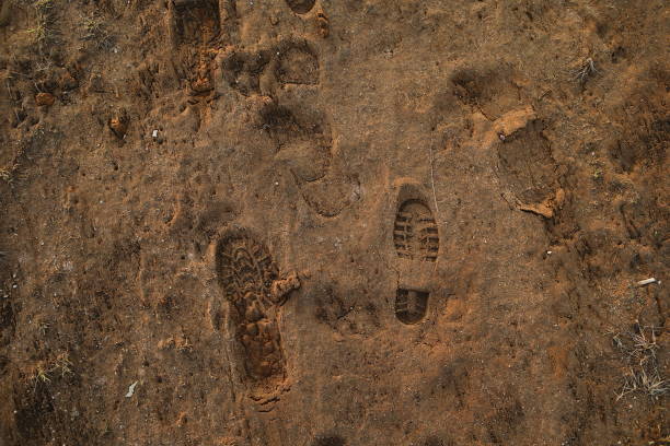 砂の表面のフットプリントで上から見る - boot prints ストックフォトと画像