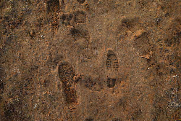 View from above at footprint on a sandy surface