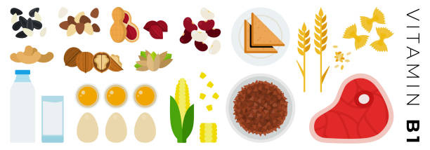 ilustrações, clipart, desenhos animados e ícones de ícones lisos do vetor dos alimentos da vitamina b1 ajustados com massa, yolks, amêndoa. - sunflower white background eggs symbol