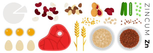 ilustrações, clipart, desenhos animados e ícones de ícones lisos do vetor dos alimentos do zincum da vitamina ajustados - sunflower white background eggs symbol