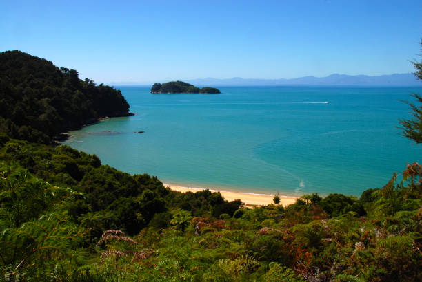 istock abel tasman national park 1182535988