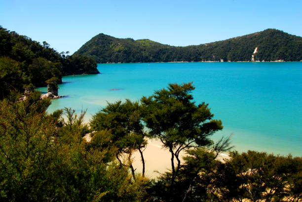 istock abel tasman national park 1182535993
