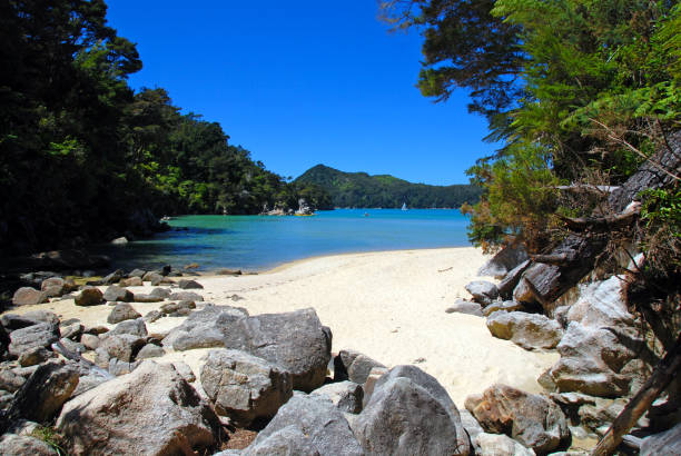 istock abel tasman national park 1182536037