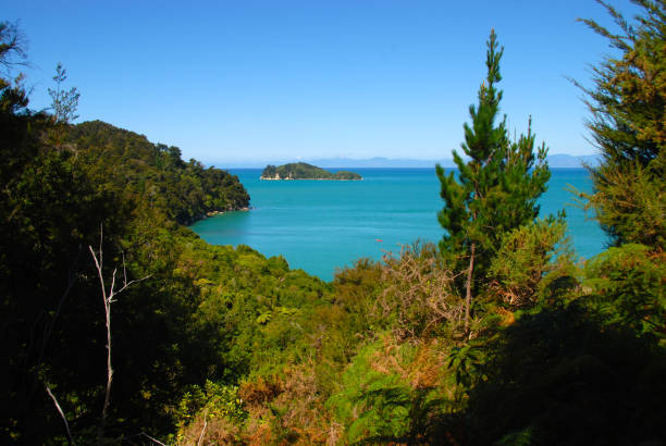 istock abel tasman national park 1182536056