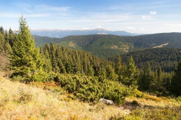 istock Mount Hoverla or Goverla, Ukraine Carpathian mountains 1182536975