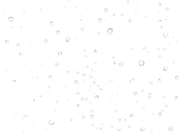 illustrazioni stock, clip art, cartoni animati e icone di tendenza di l'acqua piovana vettoriale cade su sfondo bianco. goccioline pure realistiche condensate. - wet dew drop steam