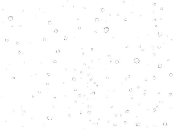 wektorowa woda deszczowa spada na białym tle. czyste realistyczne kropelki skondensowane. - condensation steam window glass stock illustrations