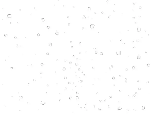 Vector illustration of Vector rain water drops on white background. Pure realistic droplets condensed.