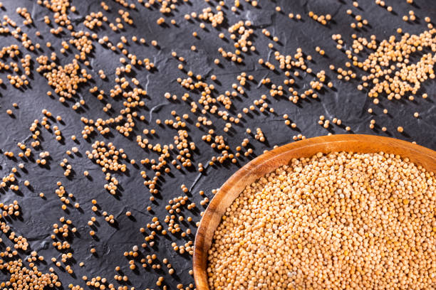 istock Organic mustard seeds - Sinapis alba 1182538741