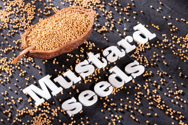 istock Yellow mustard seeds - Sinapis alba 1182538772