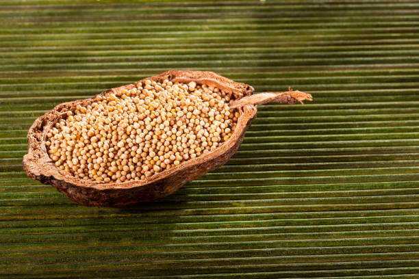 istock Yellow mustard seeds - Sinapis alba 1182540927