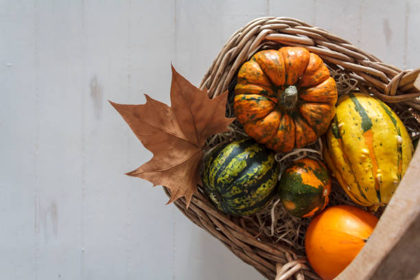 istock Basket with variety of pumpkins on rustic white table 1182542240