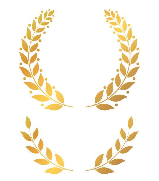 goldene lorbeerkränze, runde und halbe vektor-illustration - gold wreath stock-grafiken, -clipart, -cartoons und -symbole