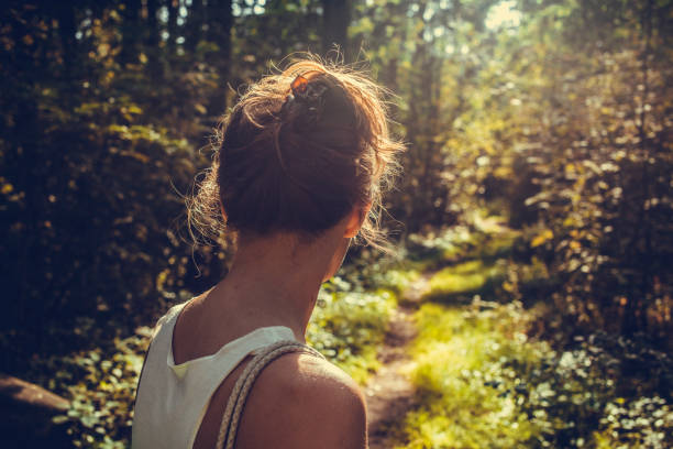 Traveler walking alone in the forest at sunset