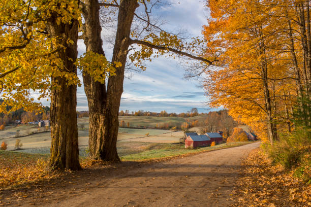 istock Autumn in Vermont 1182550609