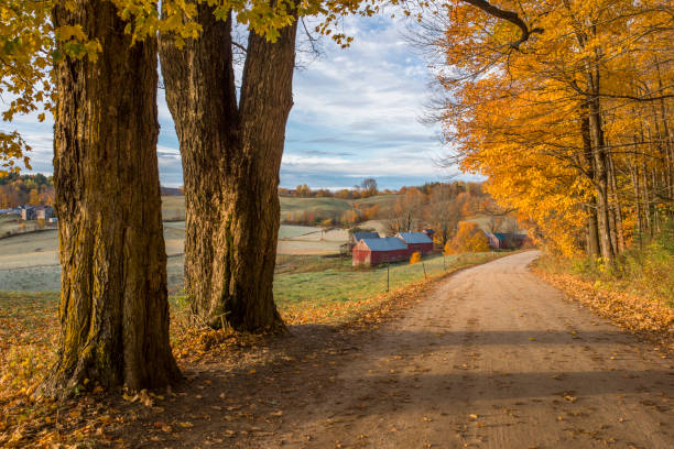 istock Autumn in Vermont 1182550896