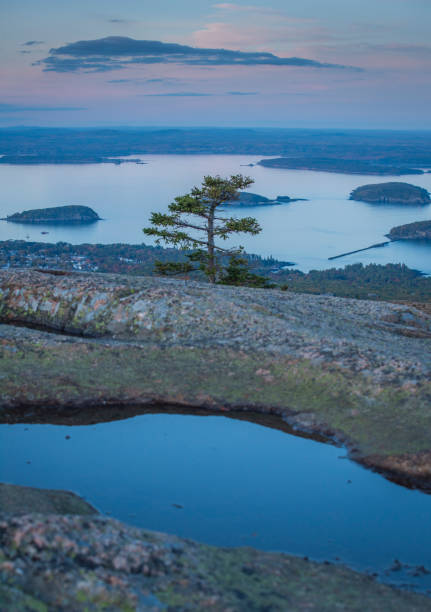 frenchman bay vom cadillac mountain, acadia nationalpark - cadillac mountain stock-fotos und bilder