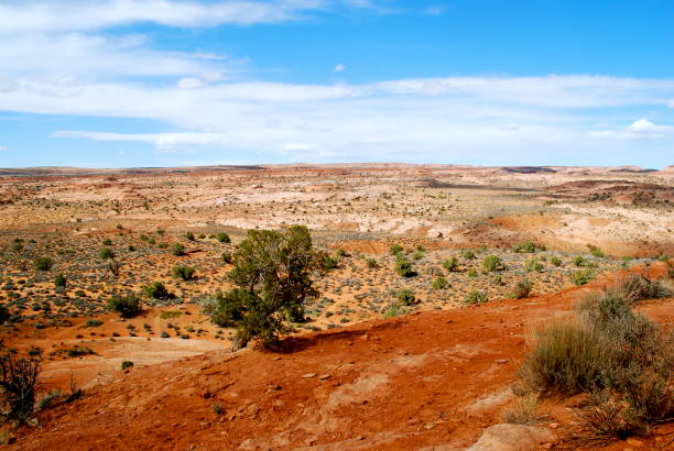 istock Grand Staircase-Escalante, Utah 1182553062